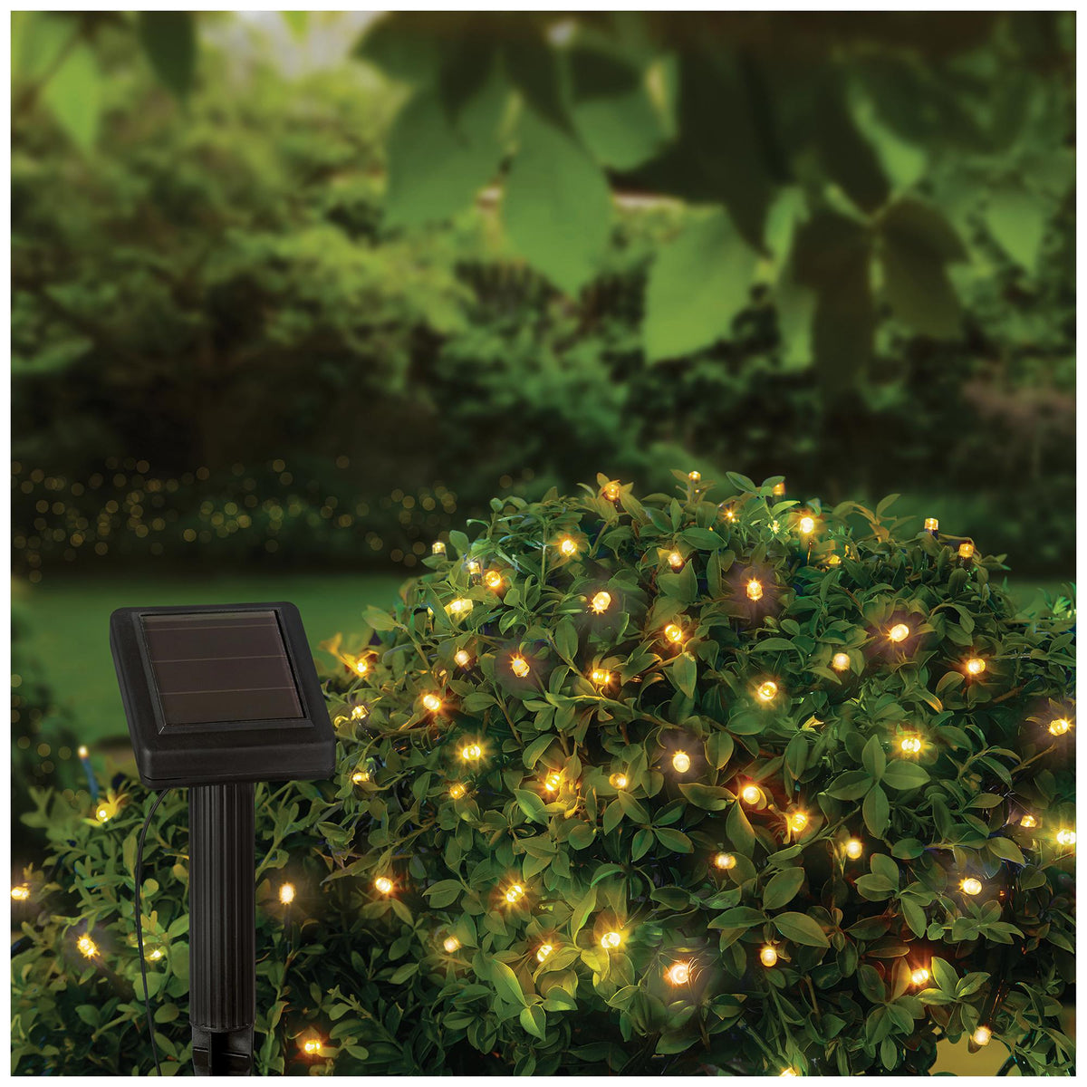 PREMIER - LS230094WW - 1000 LED Solar String Lights, Warm White, IP44, 25m