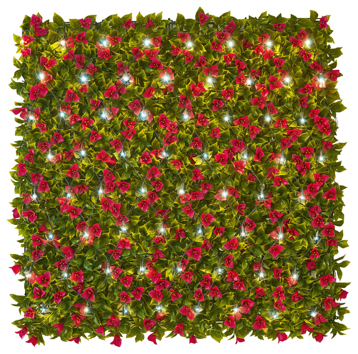 PREMIER - LS230119CW - 64 LED Solar Net Lights, Cool White, 1x1m