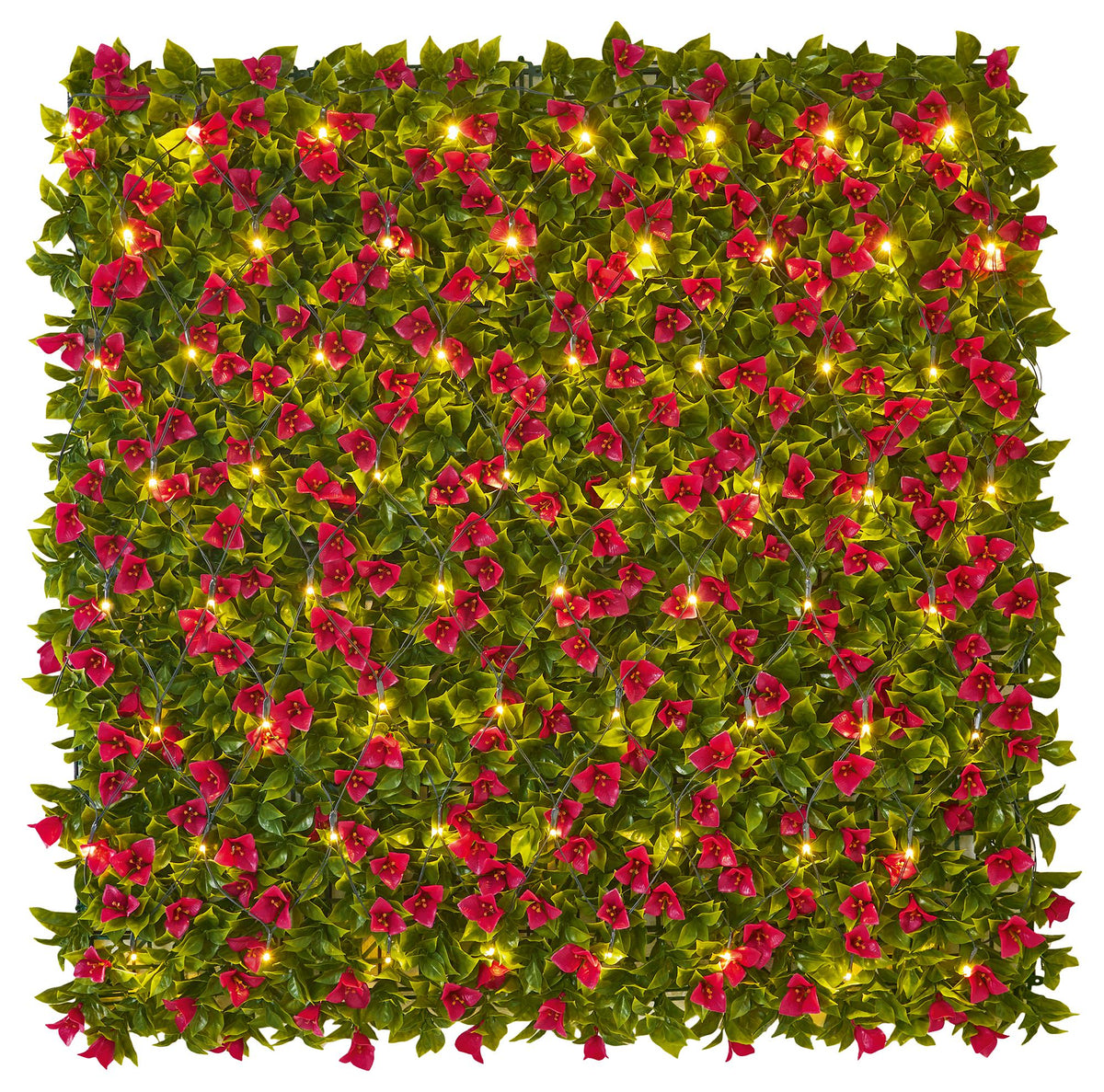 PREMIER - LS230119WW - 64 LED Solar Net Lights, Warm White, 1x1m