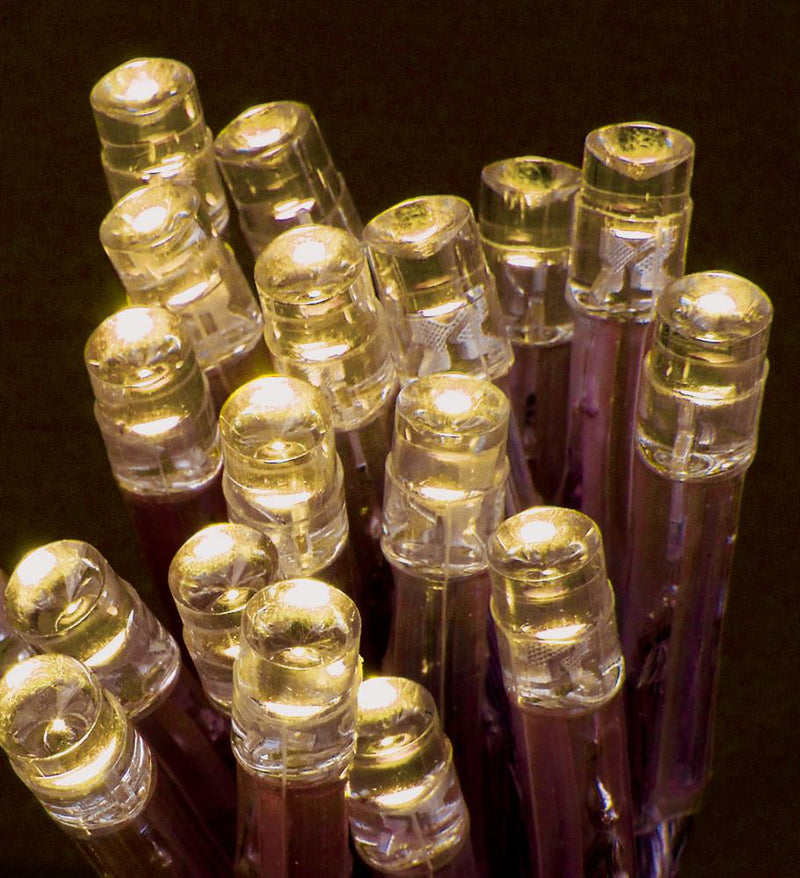 PREMIER - LB071941WW - 20  Static or Flashing Warm White LED Fairy Lights, Battery Operated